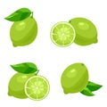 Lime. Vector