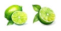 Lime, watercolor clipart illustration with isolated background Royalty Free Stock Photo