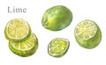 Lime watercolor illustration isolated on white, whole and sliced green sour citrus fresh fruit Royalty Free Stock Photo