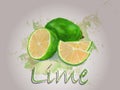 Lime watercolor vector food illustration.