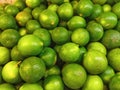 Lime which is freshly harvested in the garden