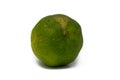 Lime on a white background frontal view Royalty Free Stock Photo