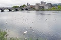 Limerick, Ireland - 22.08.2022: Swans and sea gulls in river Shannon, King John castle and Thomond Bridge in the background