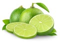 Isolated limes Royalty Free Stock Photo