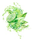 Limes and leaves in the splash of green juice