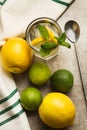 Limes and lemons and lemonade Royalty Free Stock Photo