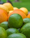 Limes, oranges and lemons Royalty Free Stock Photo