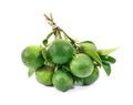 Bunch of limes whole with green leaves isolated on white background. Limes isolated Royalty Free Stock Photo