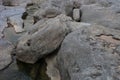 Limestone Boulders with water. Limestone Boulders with water.