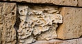 Limestone bricks eroded and cracked Royalty Free Stock Photo