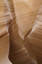 Limestone canyon in Sinai Peninsula