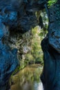 Limestone cave on the Mangapohue Natural Bridge walk