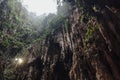 Limestone cave texture with green and sun light inside Batu Caves near Kuala Lumpur, Malaysia. Royalty Free Stock Photo