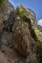Limestone cliff and forest ravine Royalty Free Stock Photo