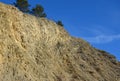Limestone cliff with pine trees on top of a rock. yellow weathered stones are a source of lime and cement. remnants of the bottom Royalty Free Stock Photo