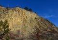 Limestone cliff with pine trees on top of a rock. yellow weathered stones are a source of lime and cement. remnants of the bottom Royalty Free Stock Photo