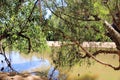 Lennard River at Windjanna Gorge Kimberley Ranges Western Australia Royalty Free Stock Photo