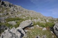 Limestone Cliffs of Mullaghmore