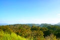 Limestone Forest in Laos Royalty Free Stock Photo