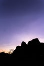 Limestone forest in South Sulawesi Indonesia