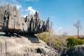 Limestone formations create a unique landscape in Tsingy de Bemaraha National Park, Madagascar Royalty Free Stock Photo