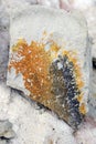 Limestone with Manganese dendrites