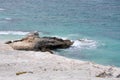 Limestone Outcropping: Foul Bay Beach Royalty Free Stock Photo