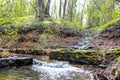 Limestone outcrops on a creek in a ravine