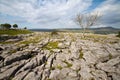 Limestone Pavement Royalty Free Stock Photo