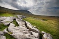 Limestone Pavement Royalty Free Stock Photo