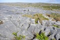 Limestone Pavement Royalty Free Stock Photo