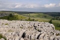 Limestone pavement Royalty Free Stock Photo