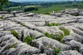 Limestone Pavement at Malham Cove, Malhamdale, Yorkshire Dales, England, UK