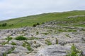 Limestone Pavement at Malham Cove, Malhamdale, Yorkshire Dales, England, UK