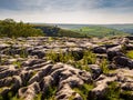 Limestone pavement Royalty Free Stock Photo