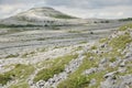 Limestone pavement mountains, Mullaghmore