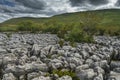 Limestone Pavement, Yorkshire Dales, UK Royalty Free Stock Photo