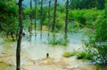 Limestone pools in Huanglong Royalty Free Stock Photo