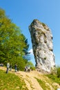 Limestone rock called Bludgeon of Hercules near Castle Pieskowa Skala, Krakow, Poland Royalty Free Stock Photo