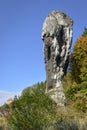 Limestone rock called Maczuga Herkulesa in Poland