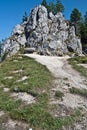 Limestone rock on Chuda Turnia hill in Western Tatras mountains in Poland