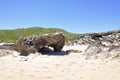 Limestone Rock Formations: Penguin Island, Western Australia Royalty Free Stock Photo