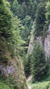 Limestone rock peaks and mountain slopes in the Polish Pieniny Mountains overgrown with trees and shrubs by the Dunajec River. Royalty Free Stock Photo