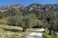 Limestone rock pinnacles, karst rock formation, Spain Royalty Free Stock Photo