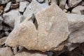 A limestone rock with seashell fossils Royalty Free Stock Photo