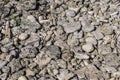 Limestone Rocks on Beach Royalty Free Stock Photo