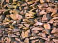 Limestone rocks in a dry stone wall in Derbyshire, England, UK. Taken in late afternoon winter sunshine