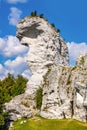 Limestone rocks surrounding medieval Ogrodzieniec Castle in Podzamcze village in Silesia region of Poland Royalty Free Stock Photo