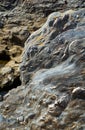 Limestone schist twisted layers form the bank of Guadiana river at Pulo do Lobo. Alentejo, Portugal