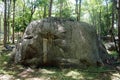 Big Triassic age limestone gray type Biomicrite, in the forest park.